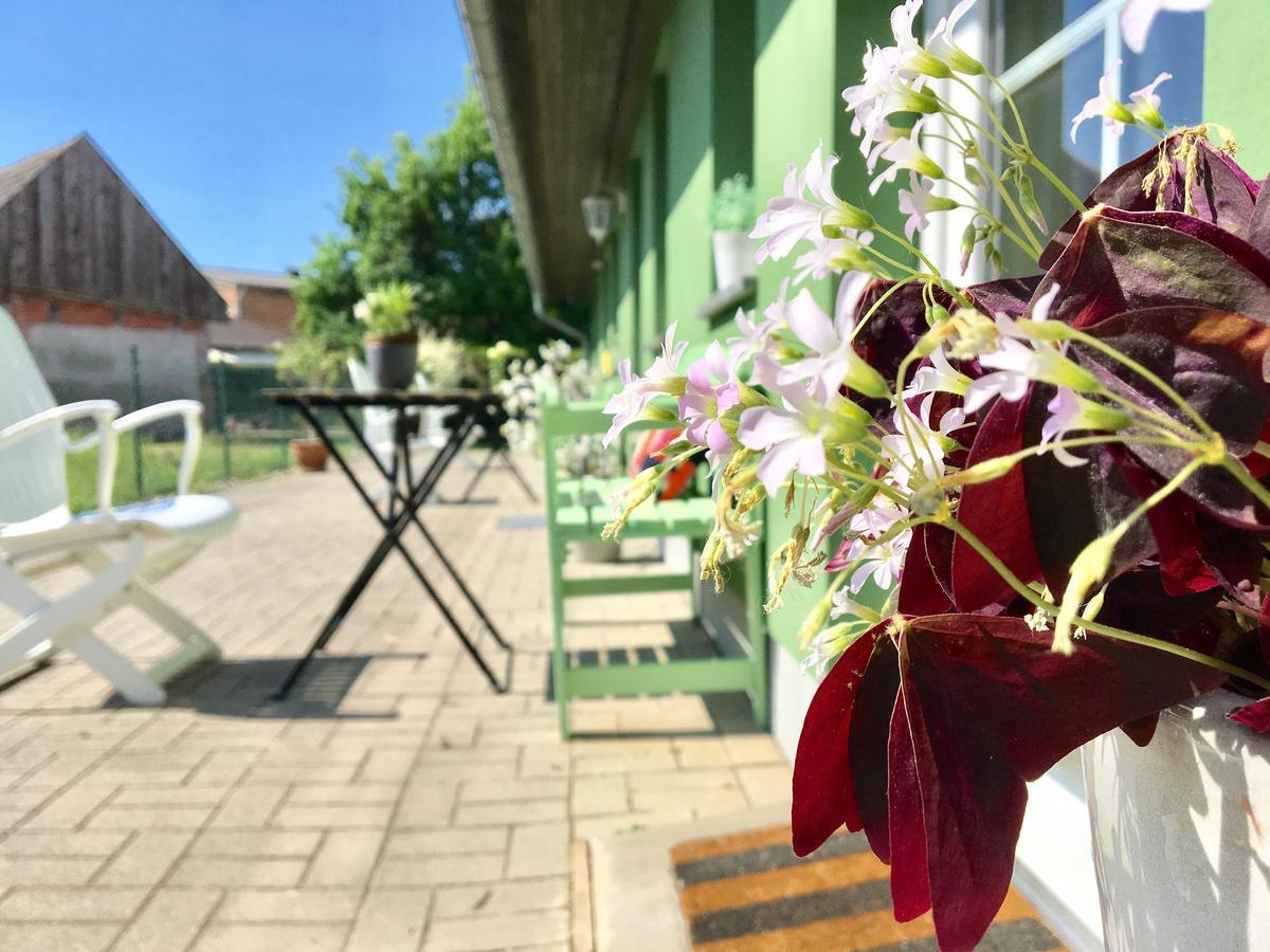 Apartmenthaus Luett Meer Ludorf Dış mekan fotoğraf
